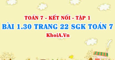Bài 1.30 trang 22 SGK Toán 7 tập 1 Kết nối tri thức